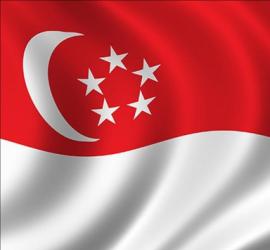 Singapore Flag for visit visa